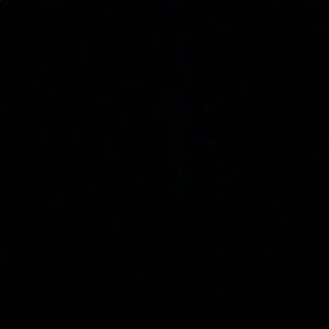 Meet your Posher, Travis